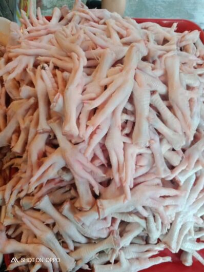 frozen whole chicken – feet – paws