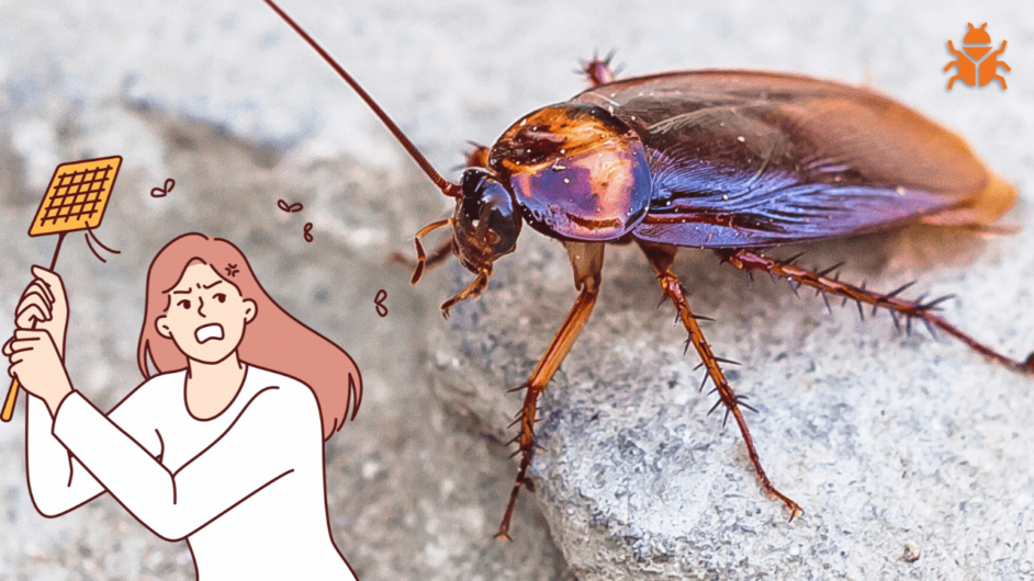 # Organic Pest Treatment – Low Cost in Dubai